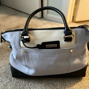 Tignanello color block tote